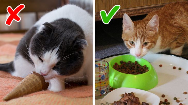 6df7245b5eb7cf45a6908d1cfb