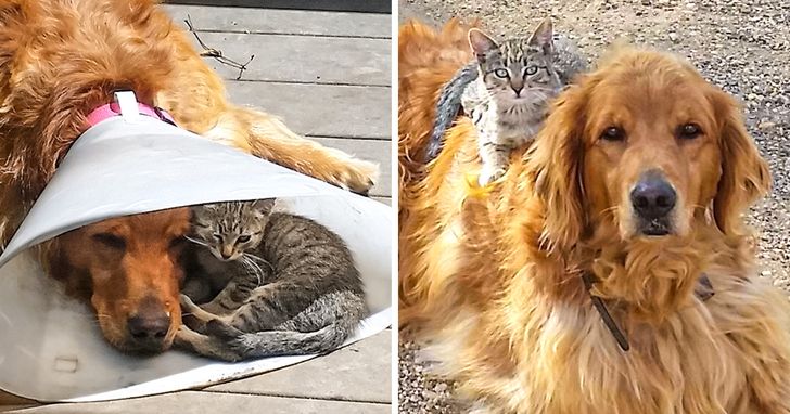 6df79558edb8ee5e874b1ce9b7