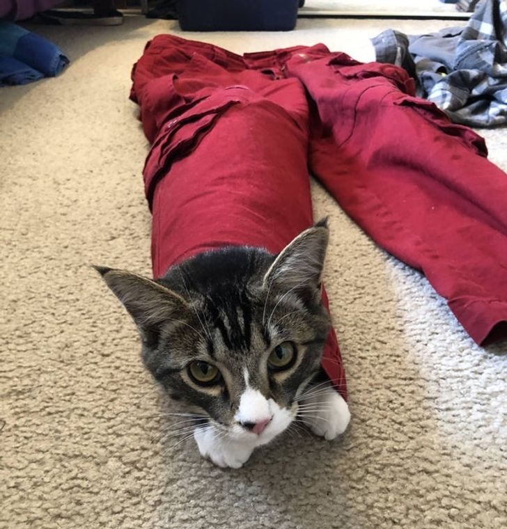 6e05da5c37bfcdc7ff2b35afee