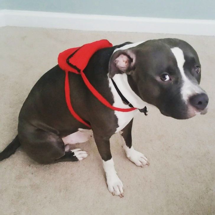 6e05e35b6b845acf13eb1adc4b