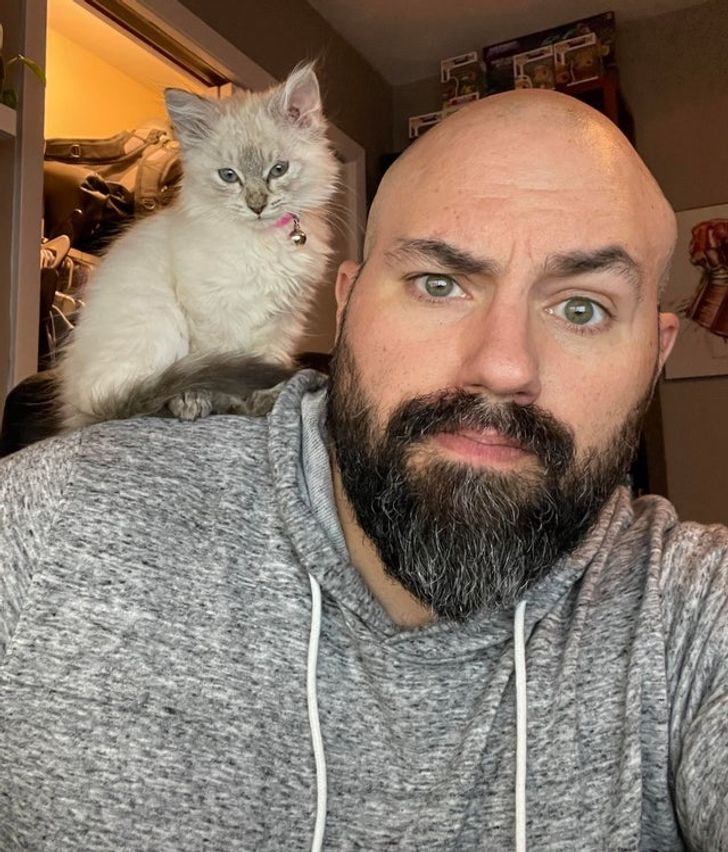 6e096855ff9195ea0bbaf11a09