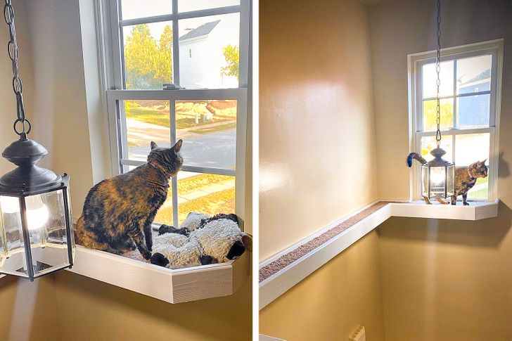 6e0bc8500fb8fd2a28d24264cc