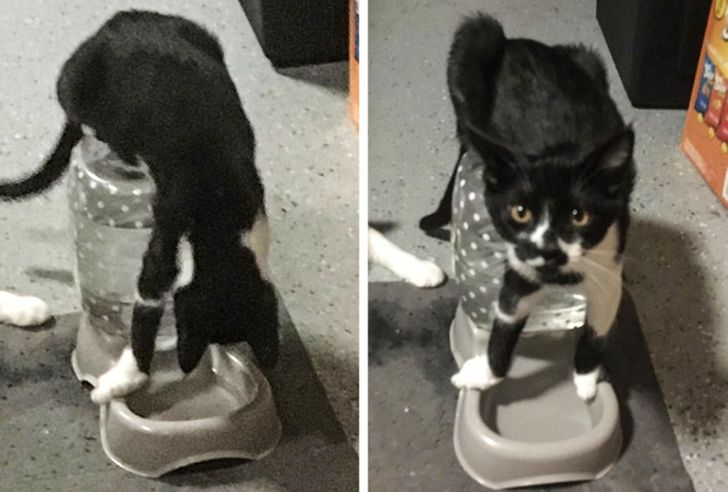 6e0c425c998ee3c357ee7cd21b