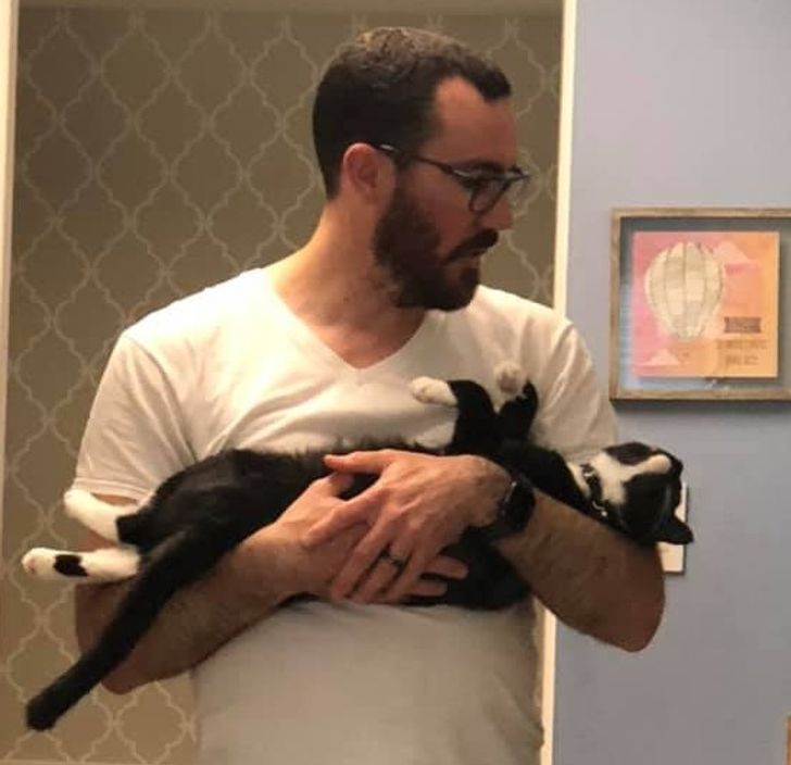 6e0ca754b28ca706b13de13e8b