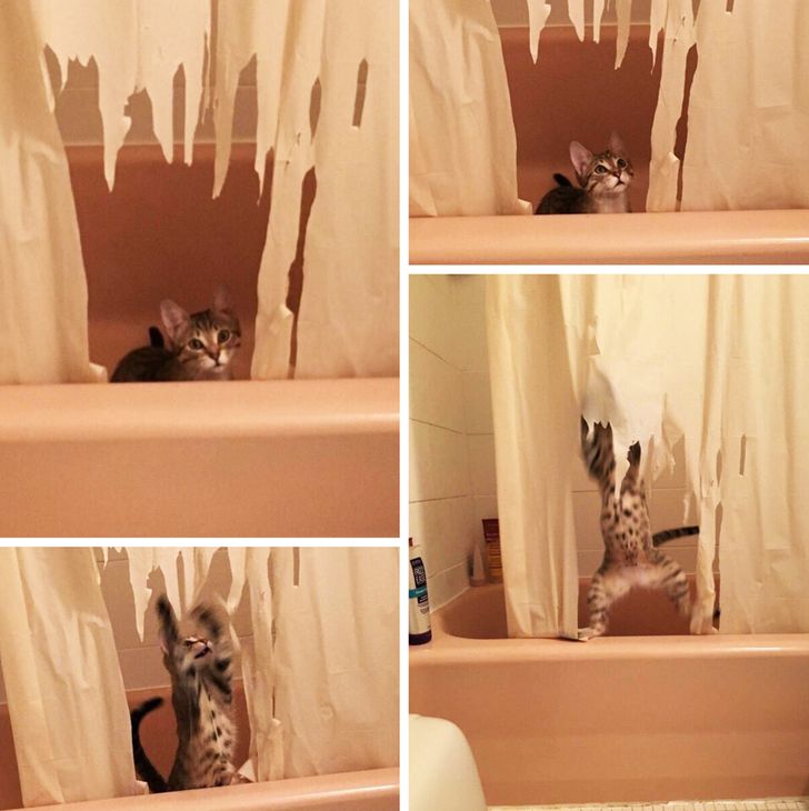 6e0f6f598ba2637310a37fcfe6