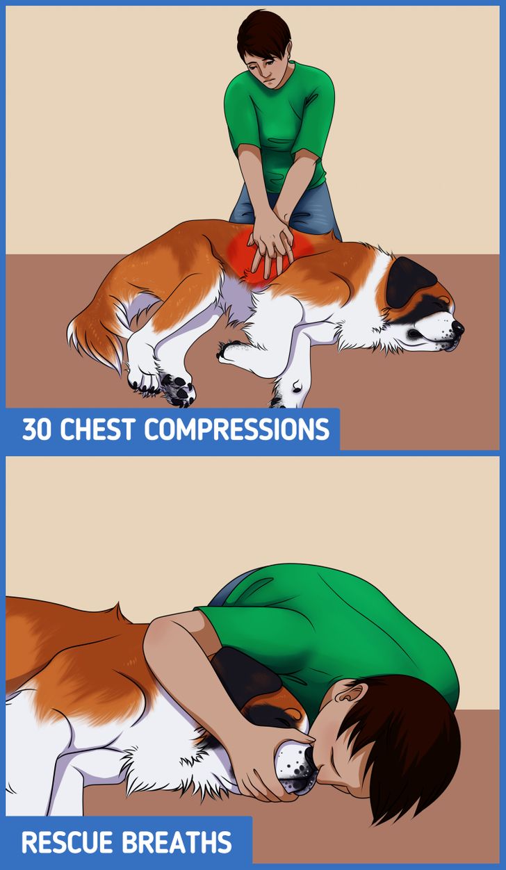 6e12cb5c62a9802bd0cd10739b