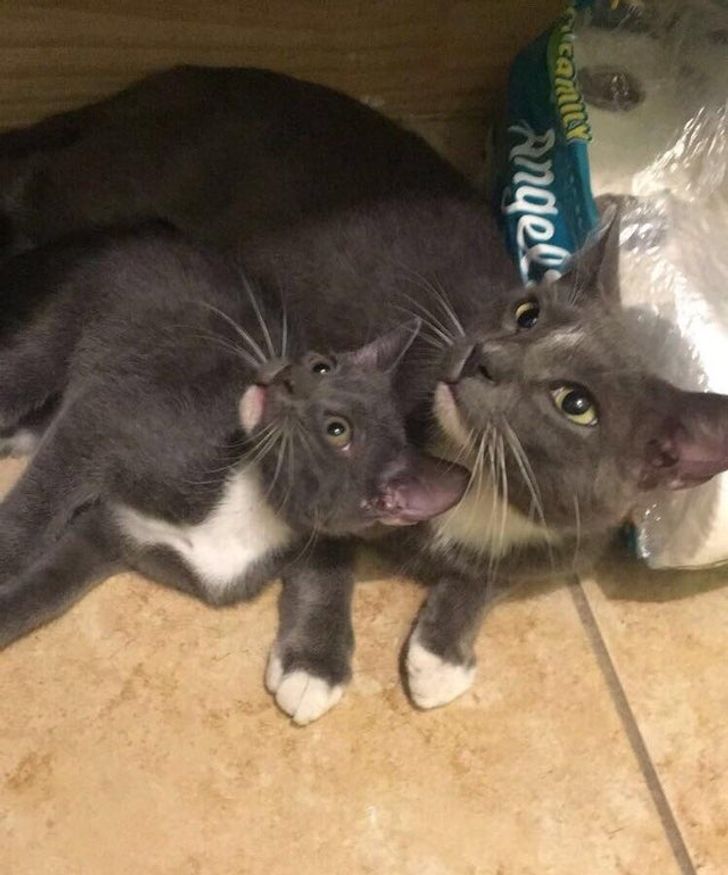 6e150a59bb822c3c0bc84b5ef8