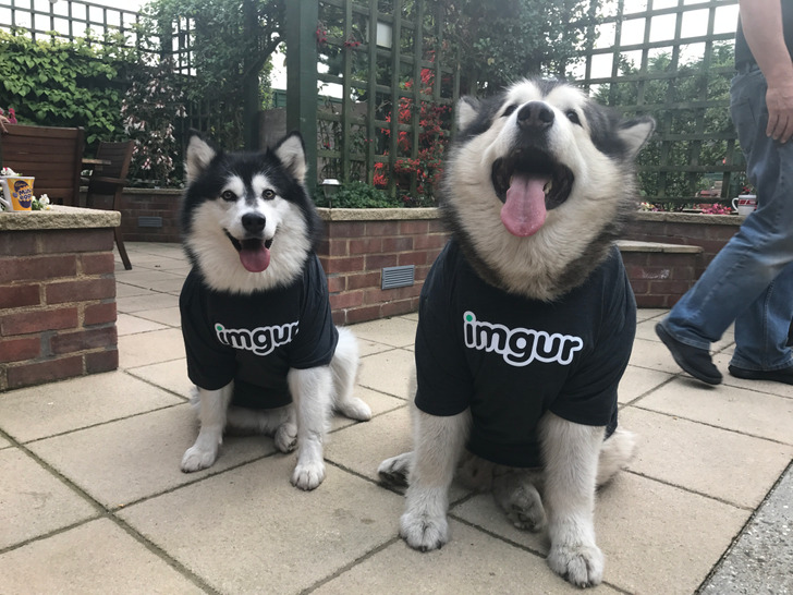 6e1d8a5700b336fae1d84ab1dc