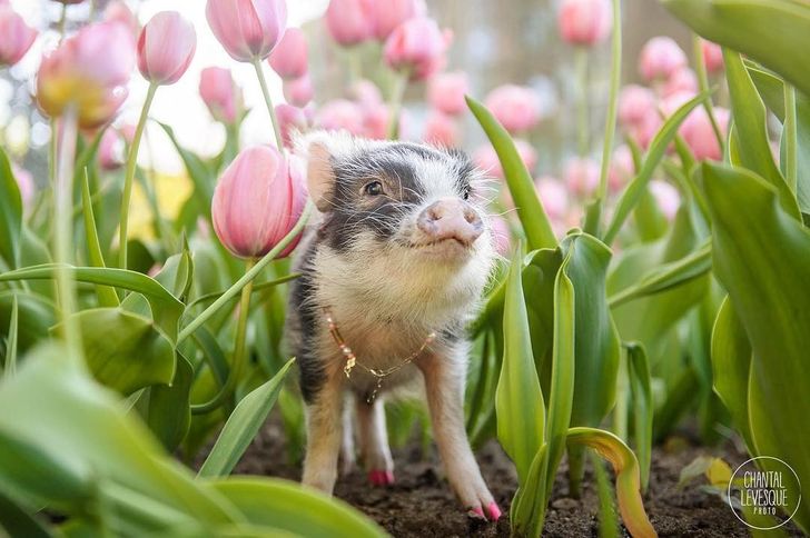 6e1ede5267a75f411e35be598f