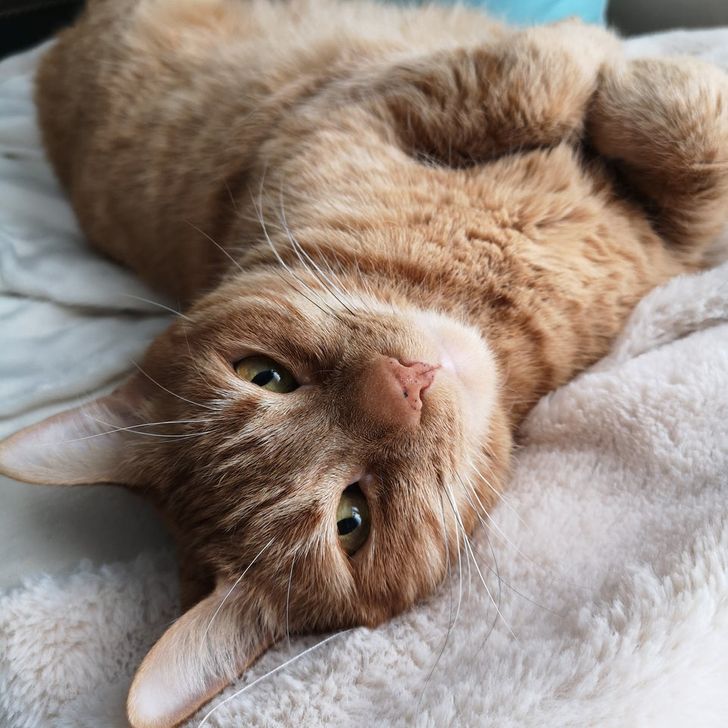 6e301b5fb88bfb785b6c03751d