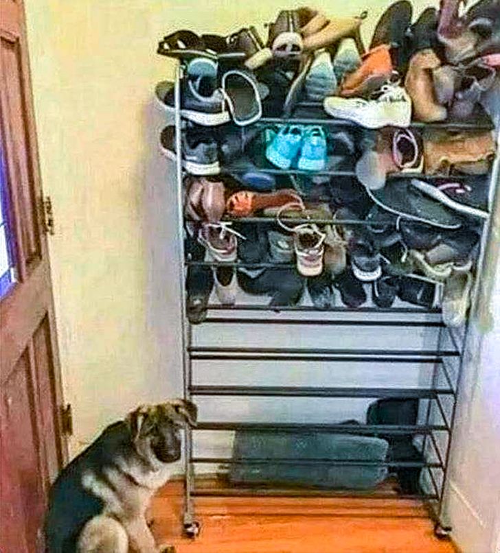 6e31a15de1abb3e5d7abe62324