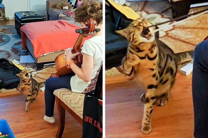 6e327c522bae607ad95c3121a2