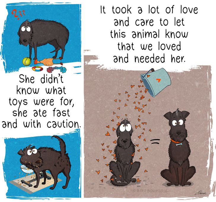 6e44c45cfe9181c4bd79c3f12b