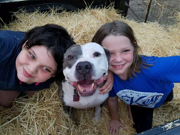 6e48e55f4db6a9161d782156d8