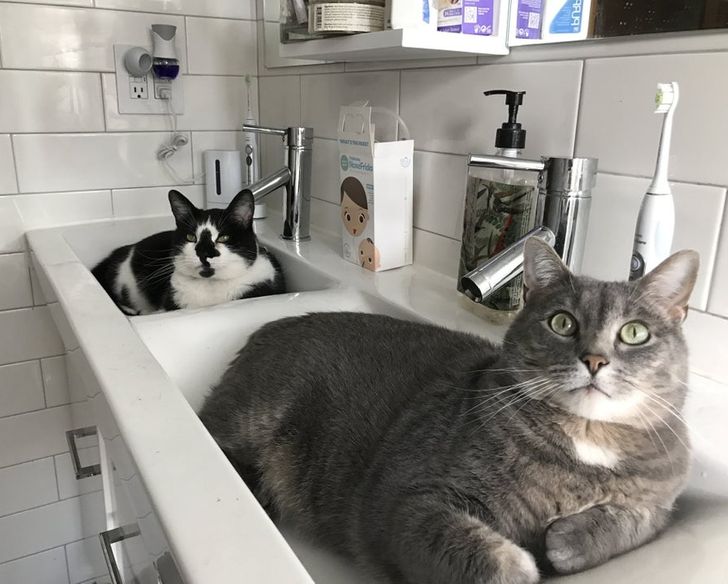 6e5a69544dbe791002b3c5d554