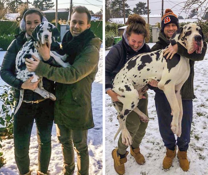 6e600d54bda50709c4ba7ac603