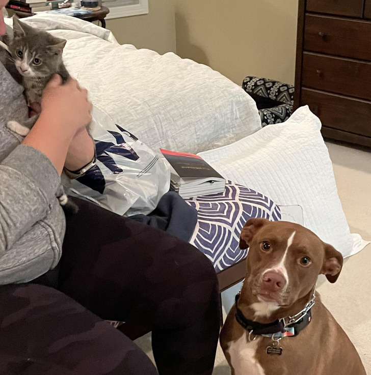 6e62c651018967c3896a807116 6e62c651018967c3896a807116