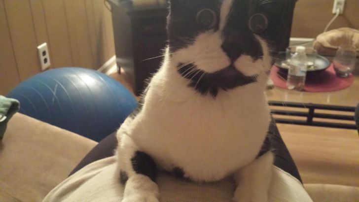 6e6d9a5b4f98bdb5cfd00839c6