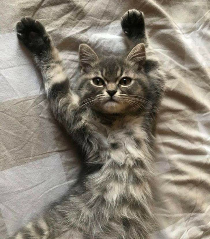 6e71bf5df49cdb971b5df7a2d6