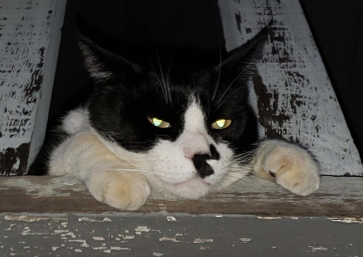 6e7f185bbf84e946b14ee1dc94