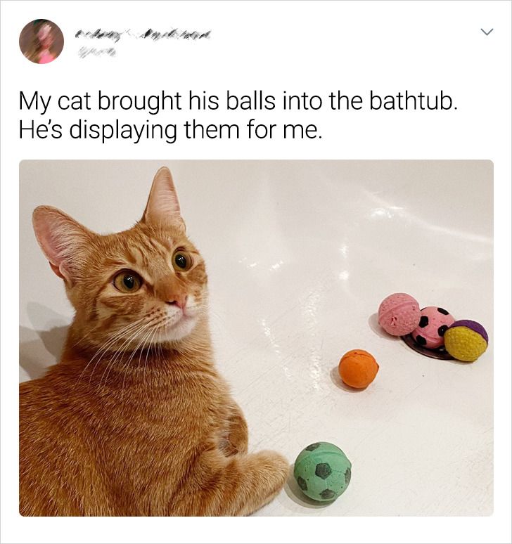 6e8f5a5a98bf09169502896462