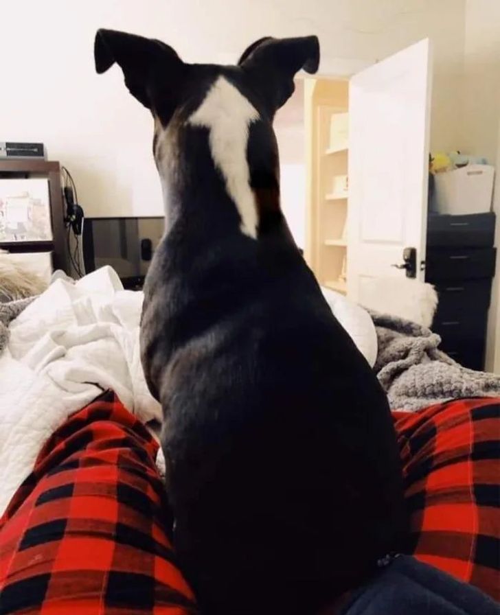 6e933f56ab96326cc22acb57a8