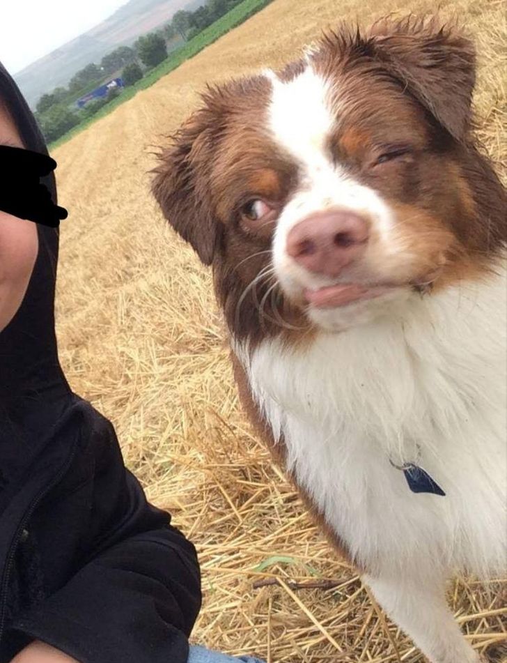 6e99855b46bba3e5688d3f48a5