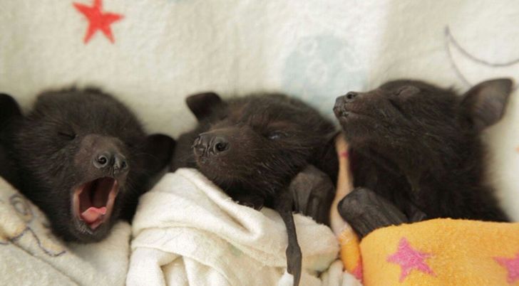 6e9a1655958577ee81b6b1622c