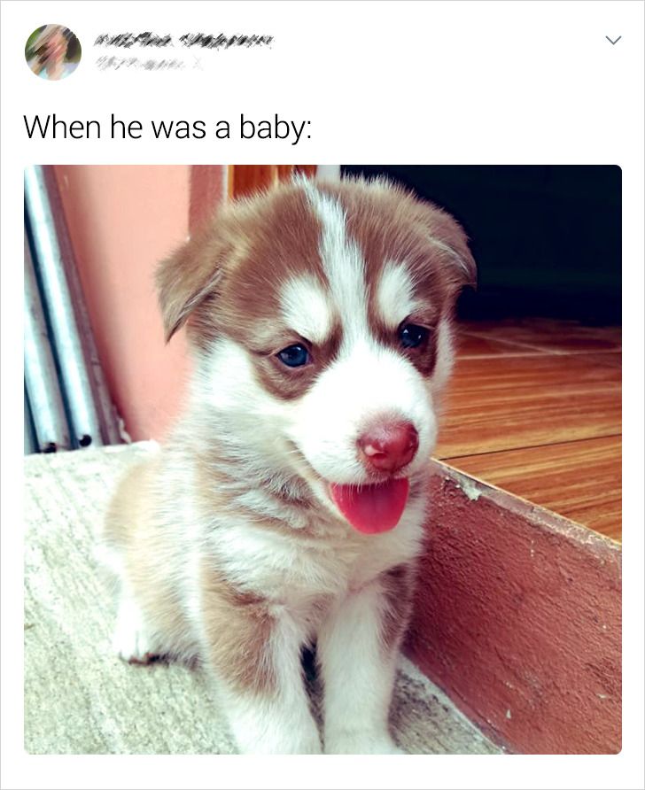 6ea17d540fae23bd0dc91cc5a4