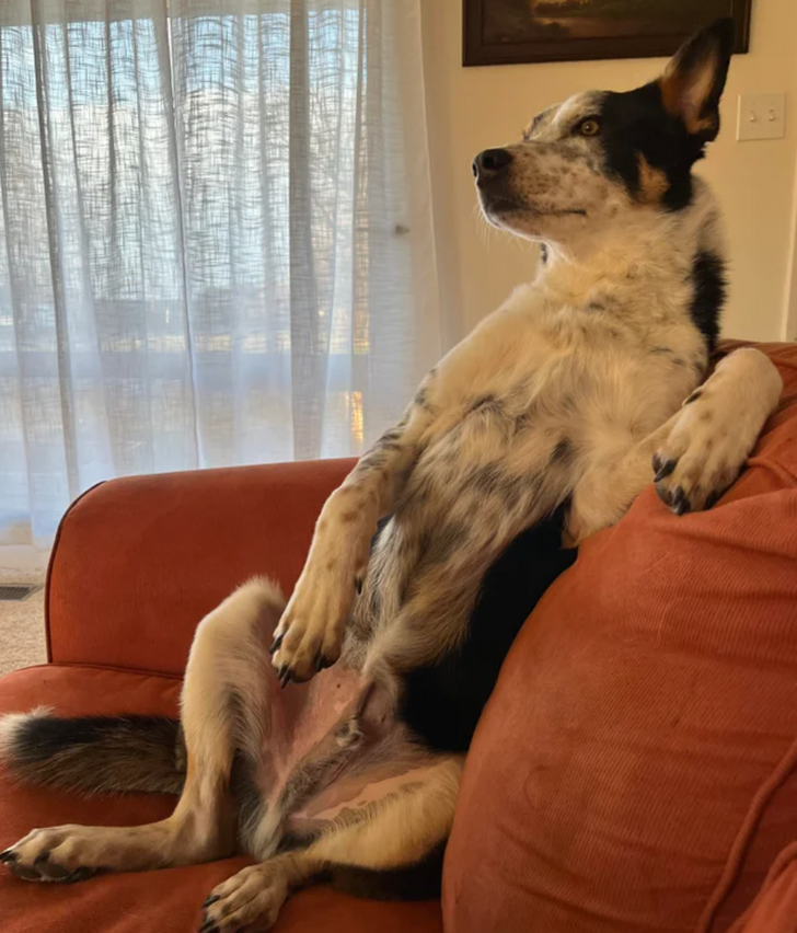 6ea3ed5332993b8d22c766e542