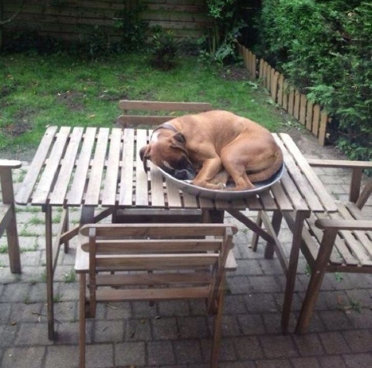 6ea64a5cc8a8a1a5ad3f18c93e