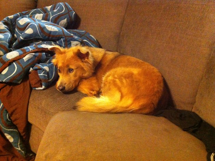 6ea7af5973a2c0ef814d25f103