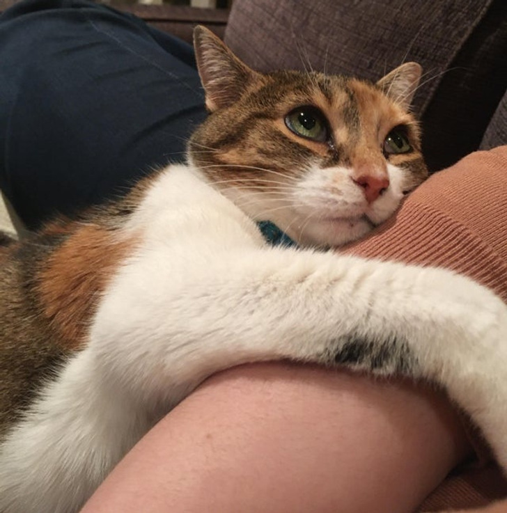 6eb0a35e9cab7f3291faf963b1