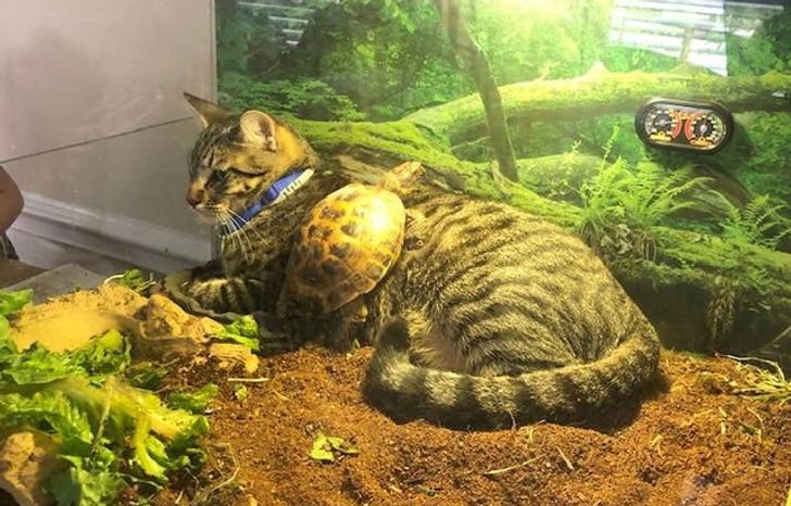 6eb61f5df097df24c51c0851f7