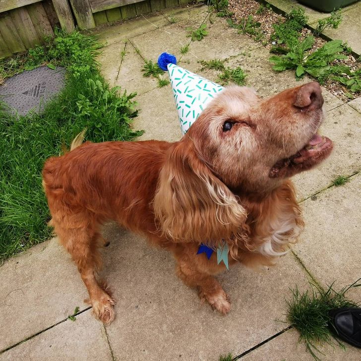 6eb7815a89b1c30d1d414f33e7