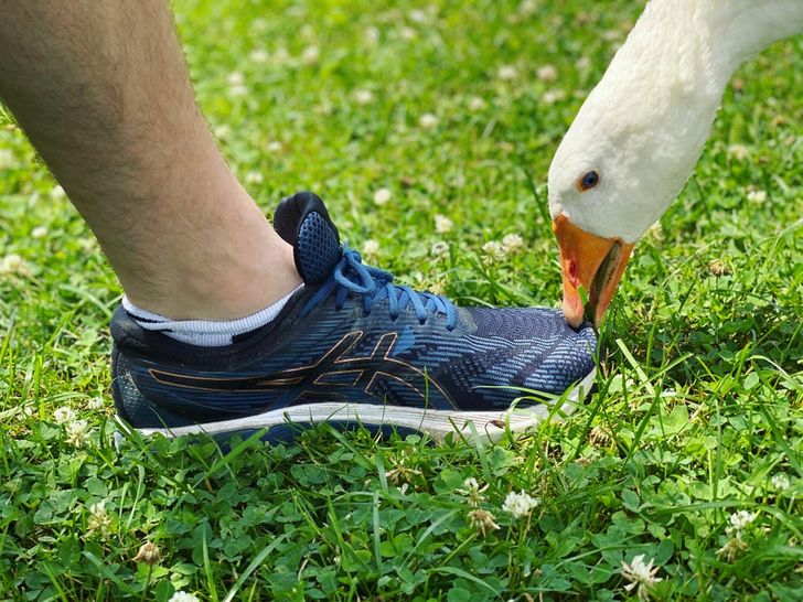 6ebfe85c499005feecd602ee24