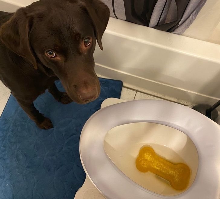 6ec077581eade579c070eaf03e