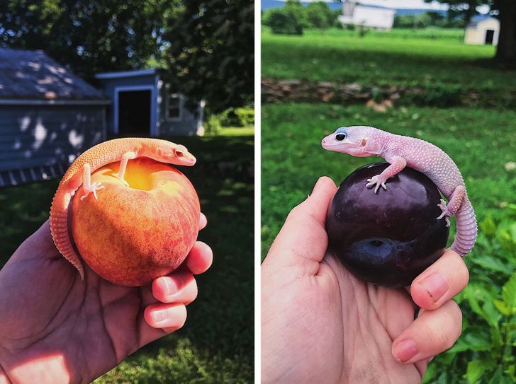 6ec7475812b19db5da9895c2d7