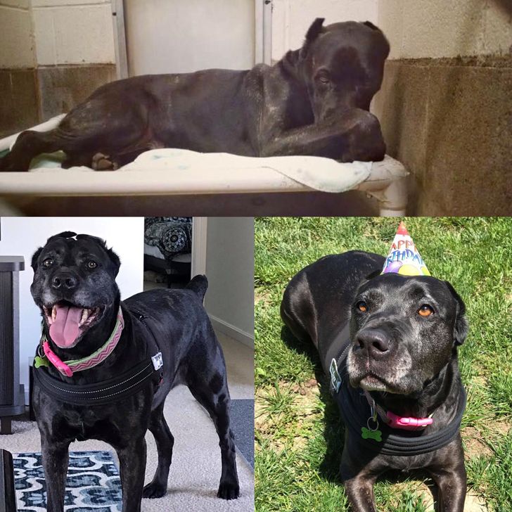 6ecb1c55b7b9ea0cf187e9923e