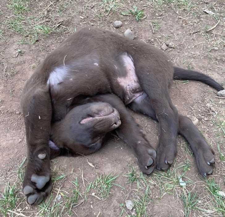 6ece7c5512ba51c406444126a6