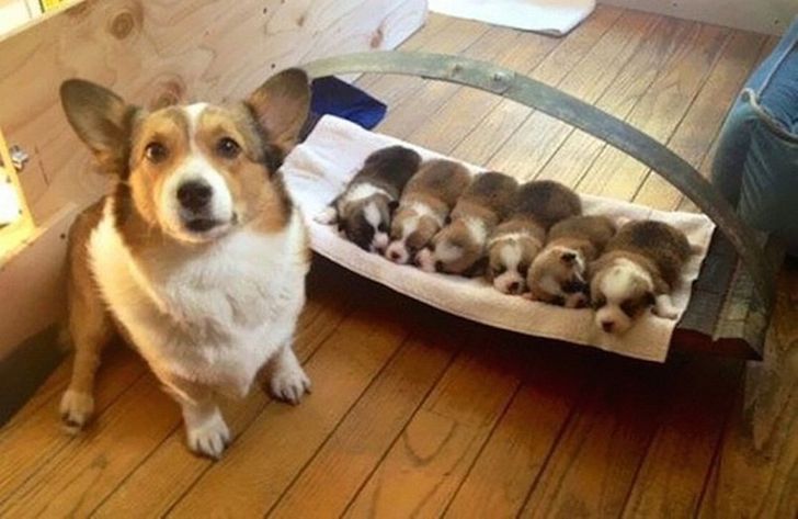 6edb6b5fc9868f50cc6a74fff1