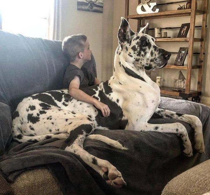 6ede4f5dd7bda1d0ba9533cbf7