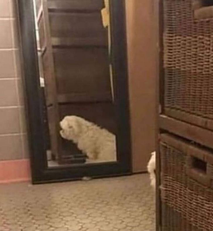 6eed3954ba852d46fb5aca8f27