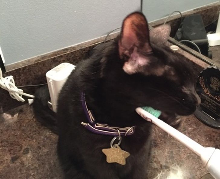 6eefee5796a46626502ebad4bf