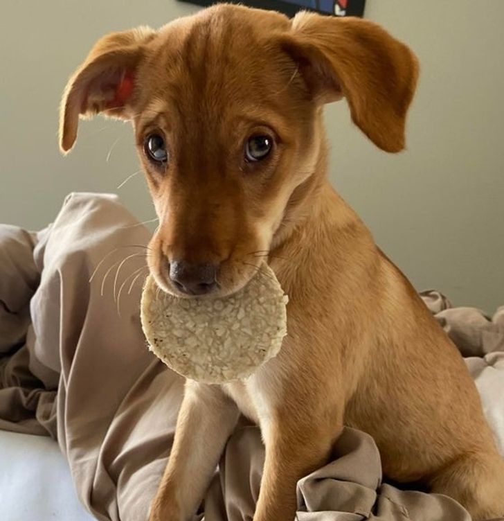 6ef44e591e95d5b0adff966da9