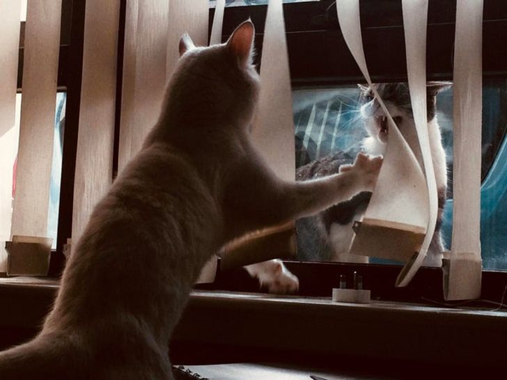 6f0b3a54688d5f708f5da7c625