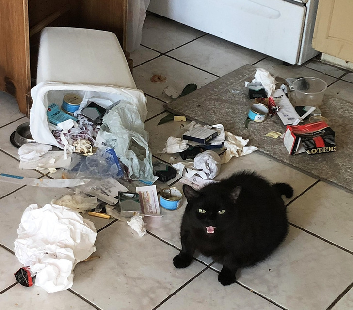 6f11e051948971077f5802d3f6