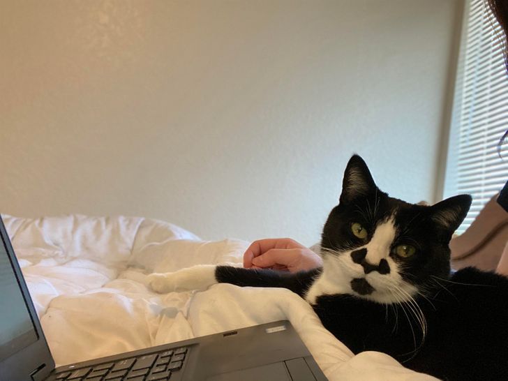 6f1307590dbd6af6475aaf5798