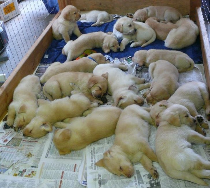 6f17115723b2a991d9ded6135d