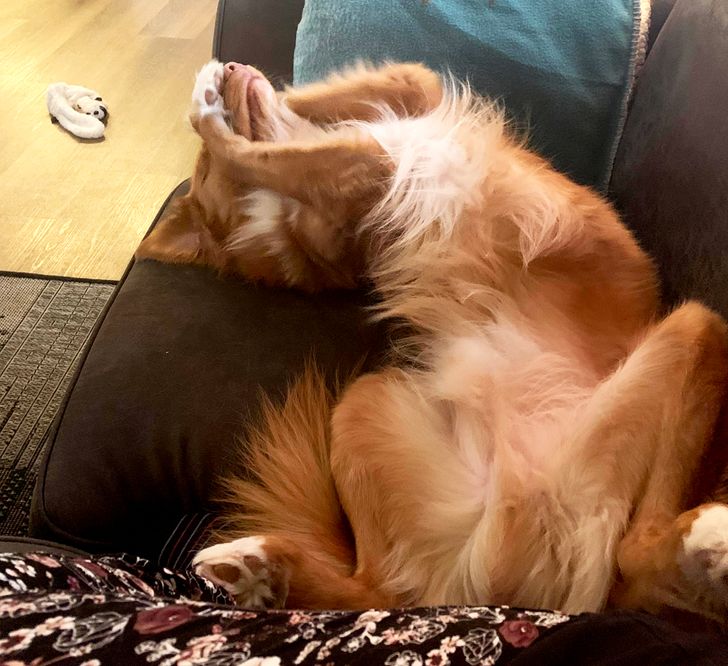 6f22b05fccbdbaf002e1950b7d